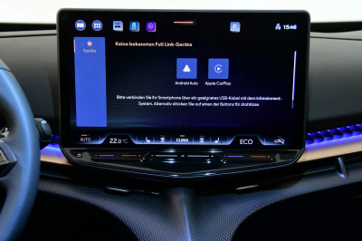 Cupra Tavascan Gebrauchtwagen Cupra Tavascan Gebrauchtwagen