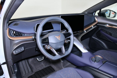 Cupra Tavascan Gebrauchtwagen Cupra Tavascan Gebrauchtwagen