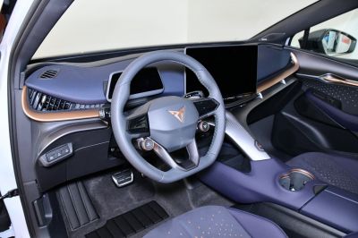 Cupra Tavascan Gebrauchtwagen