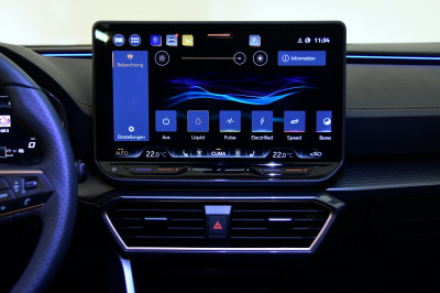 Cupra Formentor Gebrauchtwagen Cupra Formentor Gebrauchtwagen