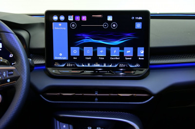 Cupra Terramar Gebrauchtwagen