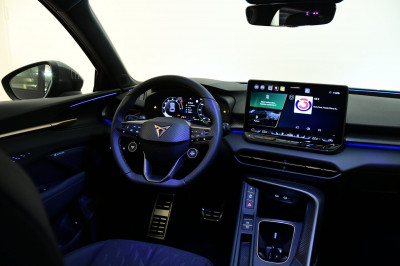 Cupra Terramar Gebrauchtwagen