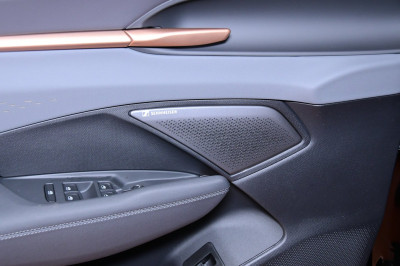 Cupra Terramar Gebrauchtwagen