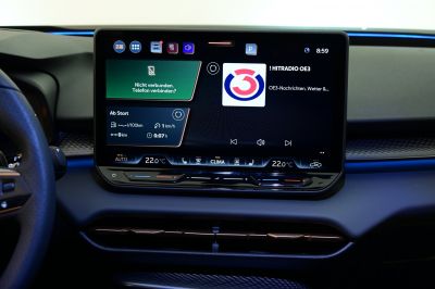 Cupra Terramar Gebrauchtwagen