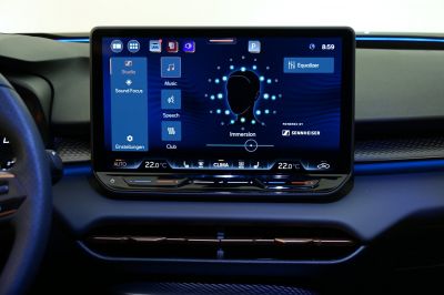 Cupra Terramar Gebrauchtwagen