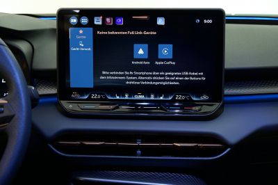 Cupra Terramar Gebrauchtwagen