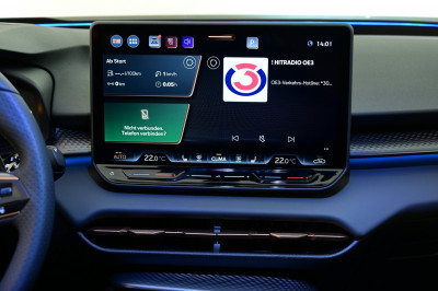 Cupra Terramar Gebrauchtwagen