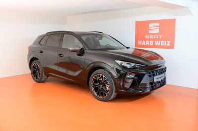 Cupra Terramar Gebrauchtwagen