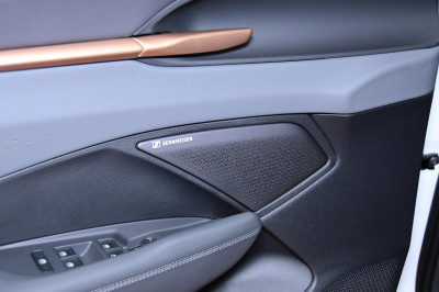 Cupra Terramar Gebrauchtwagen