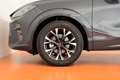Cupra Terramar Gebrauchtwagen Cupra Terramar Gebrauchtwagen