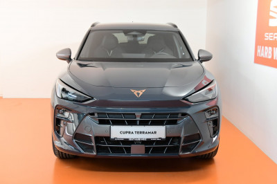 Cupra Terramar Gebrauchtwagen