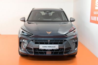 Cupra Terramar Gebrauchtwagen Cupra Terramar Gebrauchtwagen