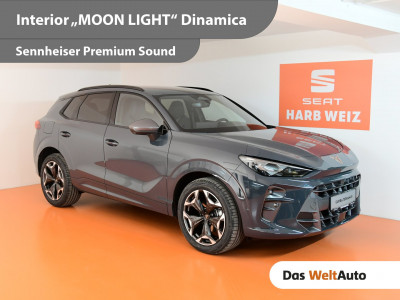 Cupra Terramar Gebrauchtwagen