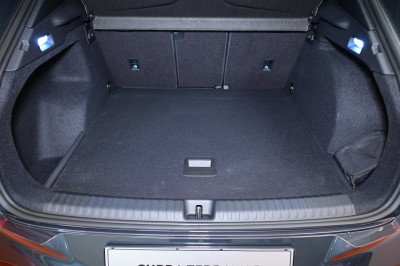 Cupra Terramar Gebrauchtwagen