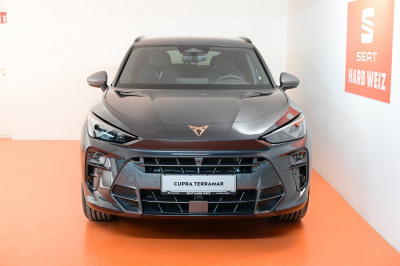 Cupra Terramar Gebrauchtwagen