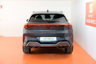 Cupra Terramar Gebrauchtwagen