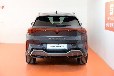 Cupra Terramar Gebrauchtwagen