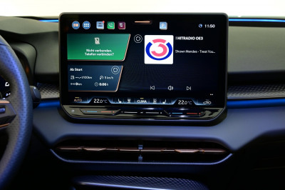 Cupra Terramar Gebrauchtwagen Cupra Terramar Gebrauchtwagen