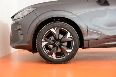 Cupra Terramar Gebrauchtwagen