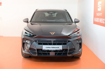Cupra Terramar Gebrauchtwagen