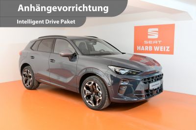 Cupra Terramar Gebrauchtwagen Cupra Terramar Gebrauchtwagen