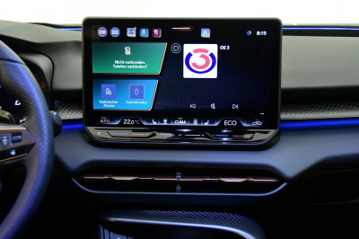 Cupra Terramar Gebrauchtwagen