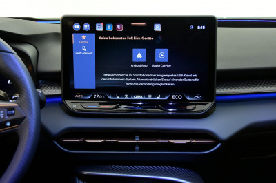 Cupra Terramar Gebrauchtwagen