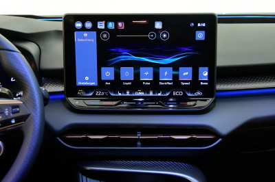 Cupra Terramar Gebrauchtwagen