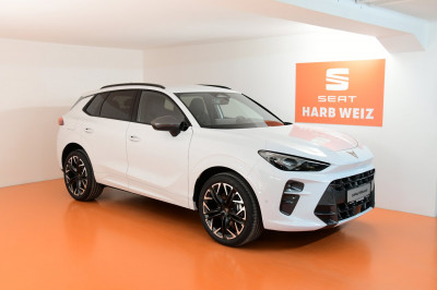 Cupra Terramar Gebrauchtwagen