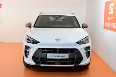 Cupra Terramar Gebrauchtwagen
