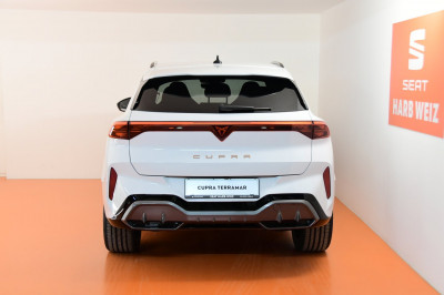 Cupra Terramar Gebrauchtwagen