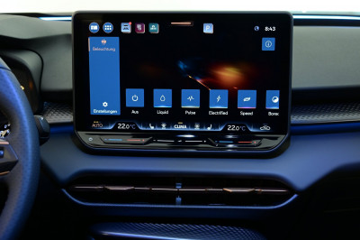 Cupra Terramar Gebrauchtwagen