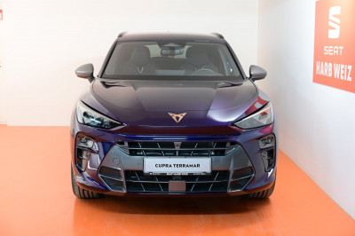 Cupra Terramar Gebrauchtwagen