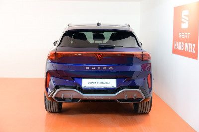 Cupra Terramar Gebrauchtwagen
