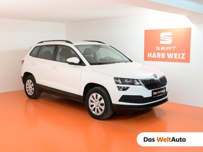 Skoda Karoq Gebrauchtwagen