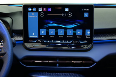 Cupra Terramar Gebrauchtwagen