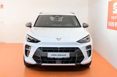 Cupra Terramar Gebrauchtwagen Cupra Terramar Gebrauchtwagen