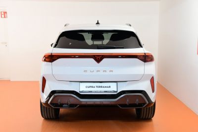Cupra Terramar Gebrauchtwagen Cupra Terramar Gebrauchtwagen