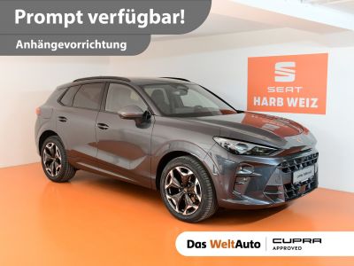 Cupra Terramar Gebrauchtwagen