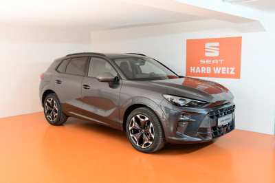 Cupra Terramar Gebrauchtwagen