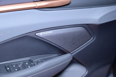 Cupra Terramar Gebrauchtwagen