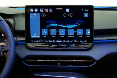 Cupra Terramar Gebrauchtwagen