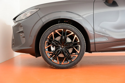 Cupra Terramar Gebrauchtwagen