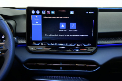 Cupra Terramar Gebrauchtwagen