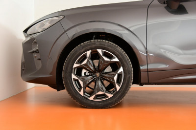 Cupra Terramar Gebrauchtwagen