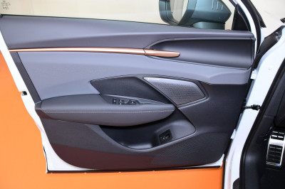 Cupra Terramar Gebrauchtwagen