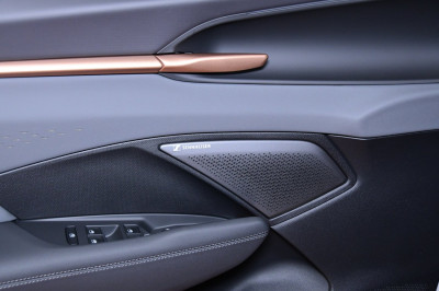 Cupra Terramar Gebrauchtwagen