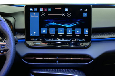 Cupra Terramar Gebrauchtwagen