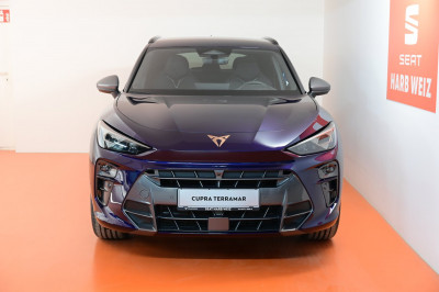 Cupra Terramar Gebrauchtwagen