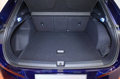 Cupra Terramar Gebrauchtwagen